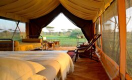 views-from-mobile-tents-at-andbeyond-serengeti-under-canvas-on-a-luxury-safari-in-tanzania
