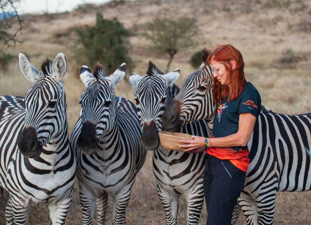 Serval Wildlife Sanctuary – sanktuarium w Sercu Afryki - piękne zdjęcie w towarzystwie znakomitych gości | Blog Podróżniczy 4challenge.org