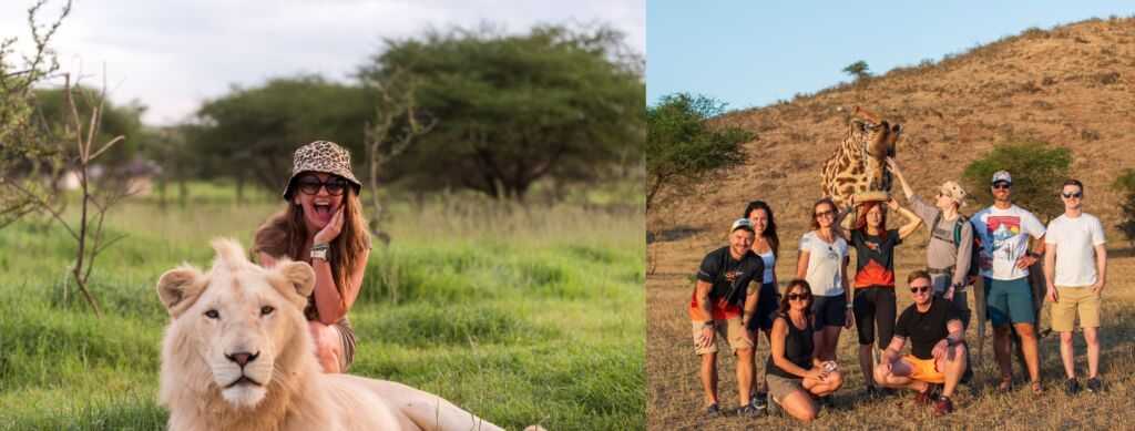 Serval Wildlife Sanctuary – sanktuarium w Sercu Afryki | Blog Podróżniczy 4challenge.org