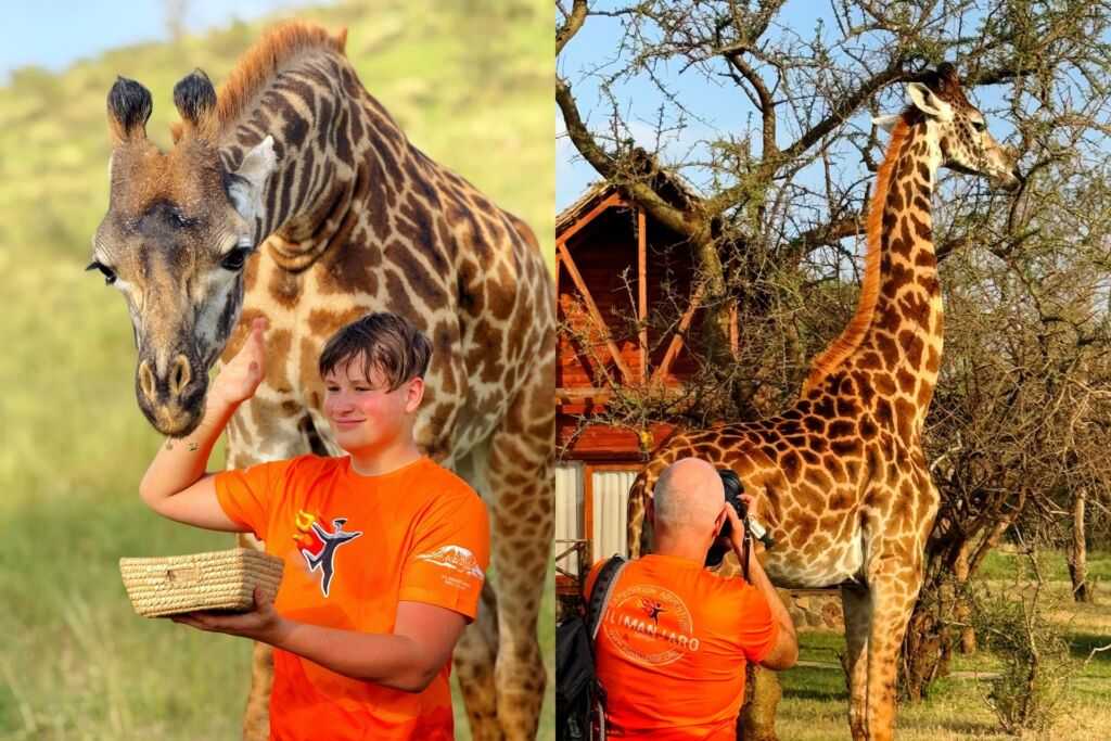 Serval Wildlife Sanctuary – sanktuarium w Sercu Afryki - piękno dzikich zwierząt | Blog Podróżniczy 4challenge.org