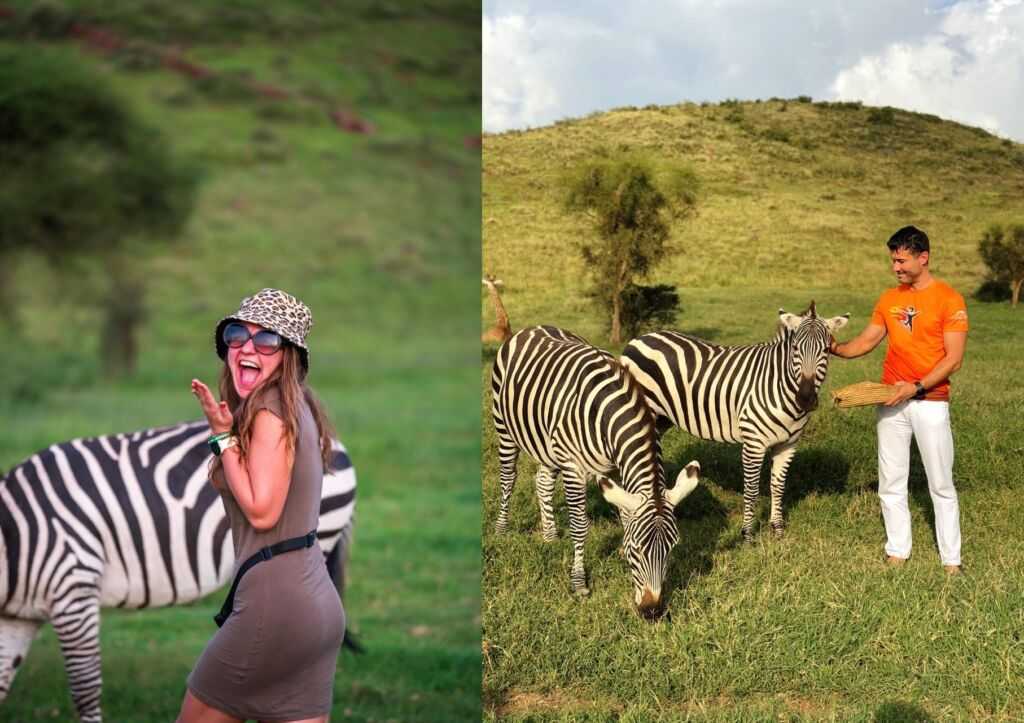 Serval Wildlife Sanctuary – sanktuarium w Sercu Afryki - piękne zdjęcie w towarzystwie znakomitych gości | Blog Podróżniczy 4challenge.org